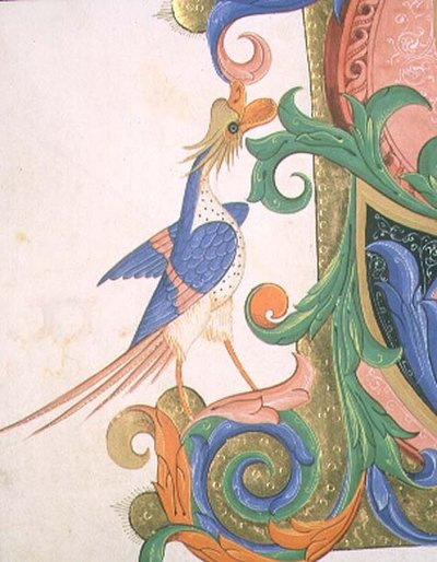 Fantastical Bird (detail) by Filippo di Matteo Torelli