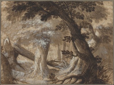 Forest Interior by Flemish 17th Century