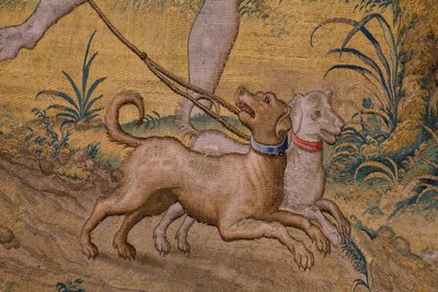 The rob of Ganymedes (detail) by Flemish School