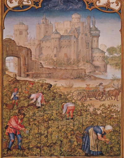 The Month of September: The Wine Harvest, from Breviarium Grimani, c.1515 by Flemish School