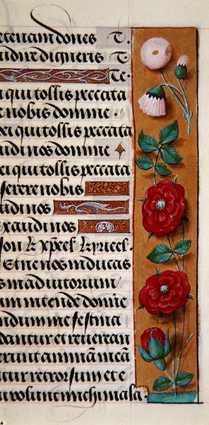 Detail of a floral border from a Book of Hours by Flemish School