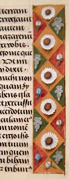 Detail of a Floral Border from a Book of Hours, c.1500 by Flemish School