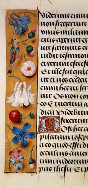 Detail of a floral border from a Book of Hours by Flemish School