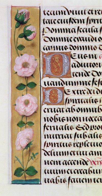 Ms. 1058-1975, f.34v: (detail) by Flemish School