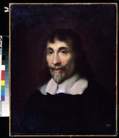 Portrait of a Man by Flemish School