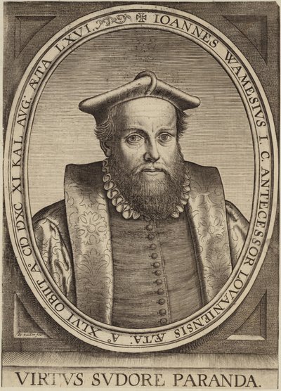 Portrait of Jan Wamesius by Flemish School