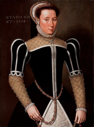 Portrait of a Woman, 1556 by Flemish School