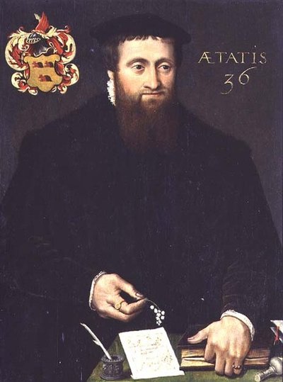 Portrait of a scholar, possibly a mathematician, aged 36 by Flemish School