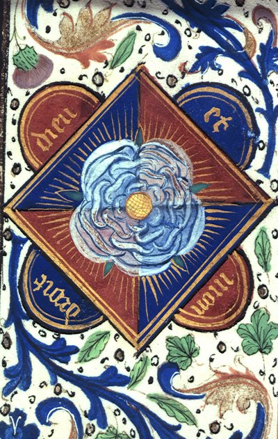 White Rose of the House of York, from 
