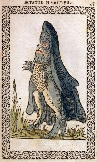 The Sea Bishop or sea monster, illustration from Omnium fere gentium nostraeque aetatis Nationum Habitus et Effigies by Jean Sluperji, Antwerp, 1572 by Flemish School