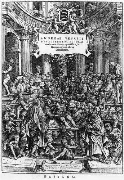 The anatomy lesson of Andreas Vesalius at the school of medicine in Brussels, frontispiece from De Humani Corporis Fabrica, published in Basel, 1555 by Flemish School