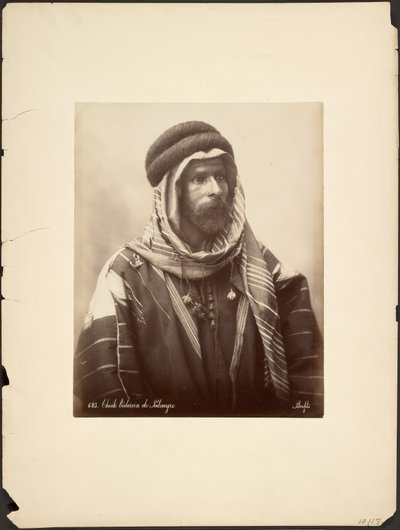 Bedouin Sheikh of Palmyra by Félix Bonfils