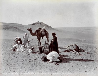 Egyptian Cameleers During a Pause in the Desert by Félix Bonfils