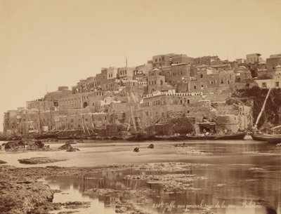 Jaffa, General View Taken from the Sea - Palestine by Félix Bonfils