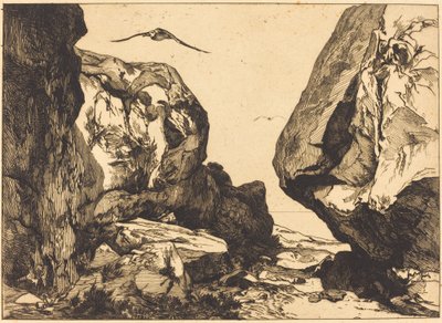 Gorge in the Rocks by Félix Bracquemond after Jules Laurens