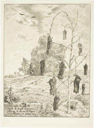 Moles by Félix Henri Bracquemond
