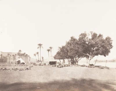 Korósko, Sycomores and Caravan Camp for the Sennár by Félix Teynard