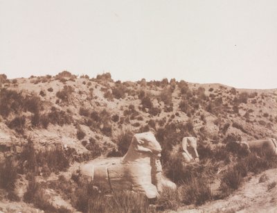 Sphinxes with a Human Head and with a Ram Head at Point Y. Karnak (Thebes) by Félix Teynard