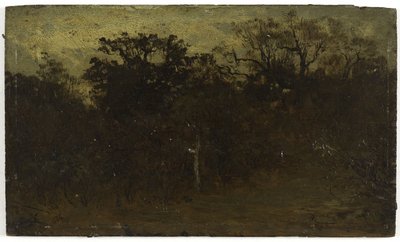 Forest Corner, between 1850 and 1860 by Félix Ziem