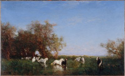 Wild Horses in the Camargue, between 1890 and 1895 by Félix Ziem