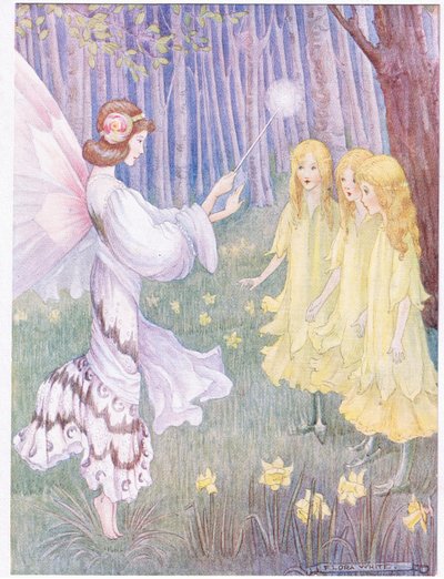 In the Daffodil