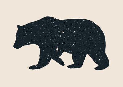 Bear by Florent Bodart
