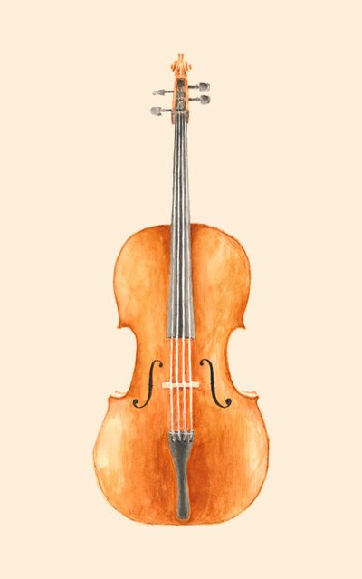 Cello by Florent Bodart