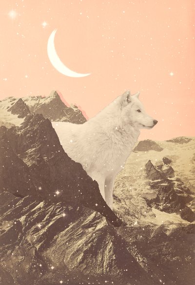 Giant Wolf in Pink Mountains, 2021 by Florent Bodart