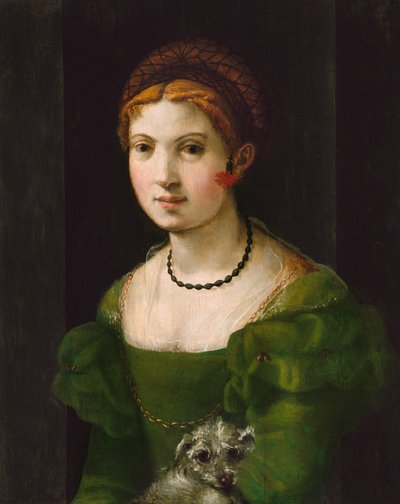 Portrait of a Young Woman by Florentine 16th Century