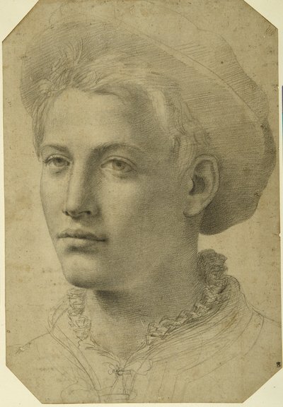 Portrait Head of a Youth Wearing a Cap, c.1530-40 by Florentine School