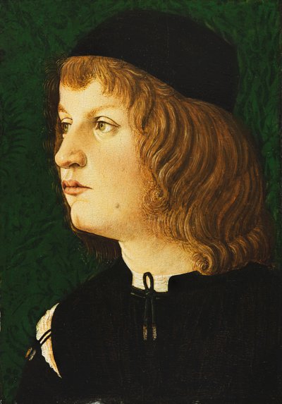 Portrait of a Youth, bust-length, in a Dark Cap by Florentine School