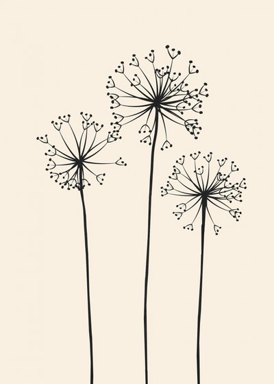 Minimalist Dandelion Blooms by Flow Line