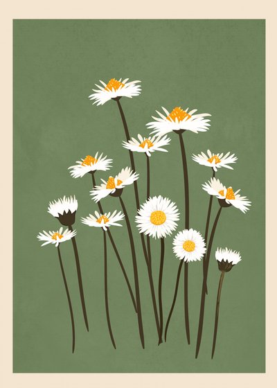 White Daisies on Green by Flow Line
