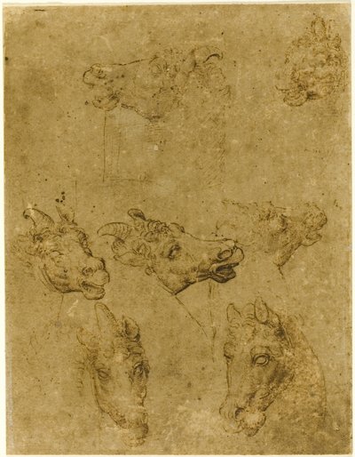 Heads of Horses and Unicorns by Follower of Leonardo da Vinci