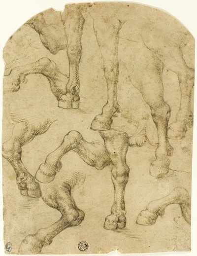 Sketches of Horses