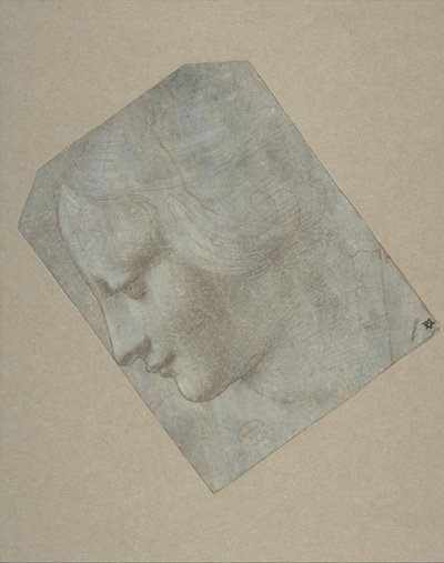 The Head of a Woman in Profile Facing Left by Follower of Leonardo da Vinci.