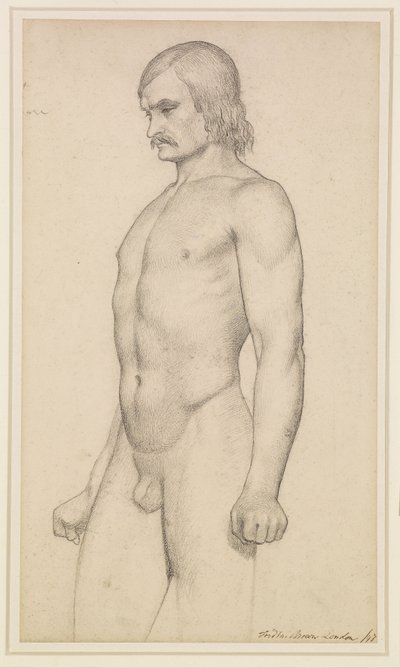 Male Nude - Academic Study, Three-Quarter Length Nude, with Moustache and Clenched Fists by Ford Madox Brown
