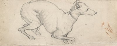 Study of a Greyhound by Ford Madox Brown