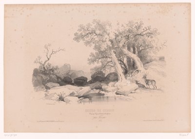 Rocky Landscape with Water and Two Deer Drawing Course with Studies of Landscapes, Animals, and Details (series title) by Fortuné Ferogio