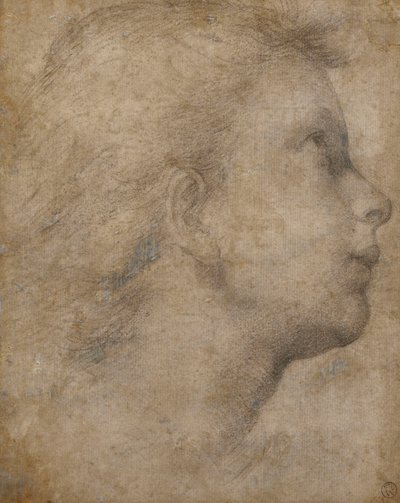 Head of an Angel in Profile Looking Up to the Right by Fra Bartolomeo