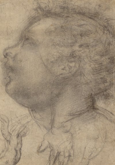 Head of a Child, an Angel and a Hand (recto); Male Figure (verso) by Fra Bartolommeo (Baccio della Porta)