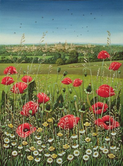 Oxford Poppies, 1983 by Frances Broomfield