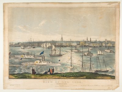 View of New York from Brooklyn Heights, 1849 by Frances Flora Bond Palmer