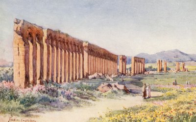 The Carthage Aqueduct by Frances Nesbitt