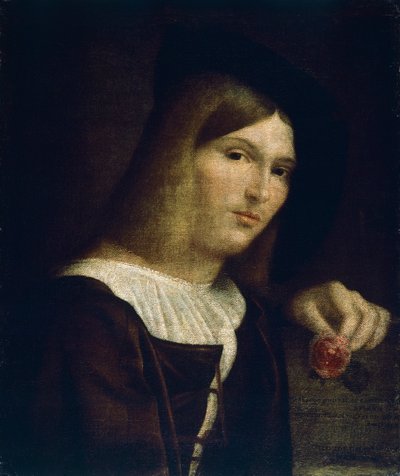 Portrait of a Young Man with a Rose by Francesco Torbido