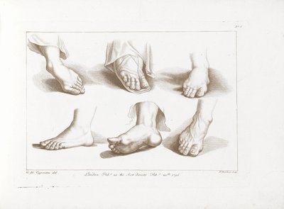 Six Feet (Cipriani