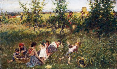 Grape harvest by Francesco Gioli