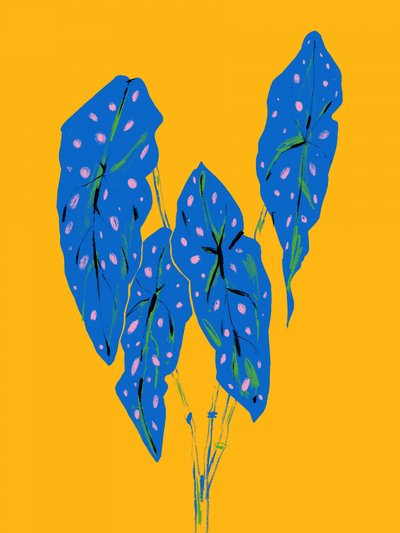 Blue Spotted Leaves by Francesco Gulina
