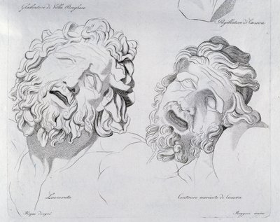 Heads of Laocoon and Centaur Moriente by Canova by Francesco Hayez
