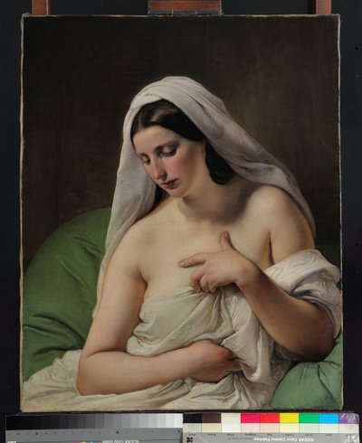 The Odalisque by Francesco Hayez